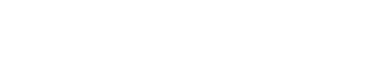 EXEDY Logo White